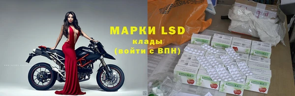 стаф Алексин