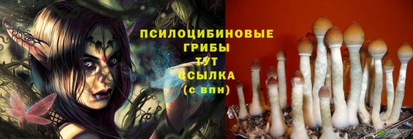 стаф Алексин