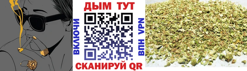 цены наркотик  Льгов  Бошки Шишки сатива 